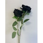 Роза одиночная Чёрная 50 см (САД)