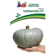Тыква Нэльсон 5 шт (Партнер)