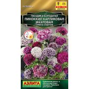 Гвоздика бородатая Пиноккио Карликовая Махровая смесь сортов цв.п. 0,1 гр (АЭЛИТА)