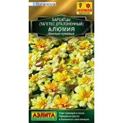 Бархатцы Алюмия отклон. ванильно-кремов, 10 шт (АЭЛИТА)