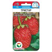 Земляника Тристар 10шт(Сиб сад)