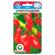 Томат Супергроздевой 20 шт (Сиб сад)