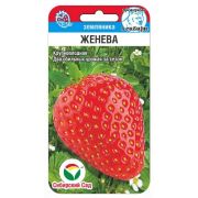 Земляника Женева 10 шт (Сиб сад)