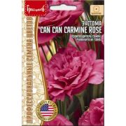 Эустома CAN CAN CARMINE ROSE 4 шт (Ред.Сем.)