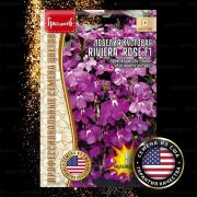 Лобелия Riviera Rose кустовая 5 шт (Ред.Сем.)