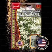 Алиссум CLEAR CRYSTAL Wite ампельная 5 др (Ред.Сем.)