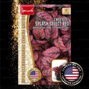 Гипоэстес SPLASH SELECT RED 4 шт (Ред.Сем.)
