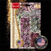 Гипоэстес SPLASH SELECT MIX 8 шт (Ред.Сем.)