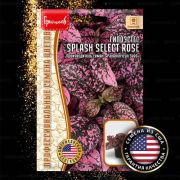 Гипоэстес SPLASH SELECT ROSE 4 шт (Ред.Сем.)