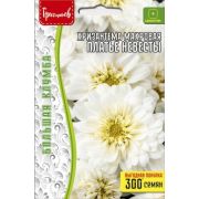 Хризантема Платье Невесты махровое 0,1 гр (Ред.Сем.)