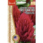 Целозия FIRST FLAME RED перистая 4 шт (Ред.Сем.)