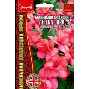 Бальзамин махровый ATHENA CORAL 4 шт (Ред.Сем.)