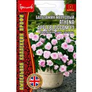Бальзамин махровый ATHENA APPLEBLOSSOM АФИНА ЯБЛОНЕВАЯ 4 шт (Ред.Сем.)