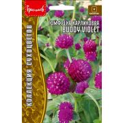 Гомфрен карликовая BUDDY VIOLET 12 шт (Ред.Сем.)