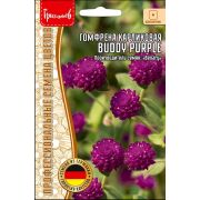 Гомфрен карликовая BUDDY PURPLE 5шт (Ред.Сем.)