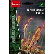 Росянка капская Рубра 3 шт (Ред.Сем.)
