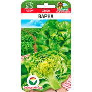 Салат Варна 20 шт (Сиб сад)