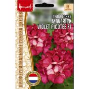 Пеларгония MAVERICK VIOLET PICOTEE 3 шт (Ред.Сем.)