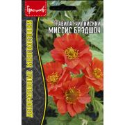 Гравилат Миссис Брэдшоу чилийский 20 шт (Ред.Сем.)