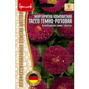 Маргаритка TACCO ТЁМНО РОЗОВАЯ 5 шт (Ред.Сем.)
