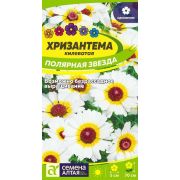 Хризантема Полярная Звезда цв.п.0,1 гр (Сем Алт)