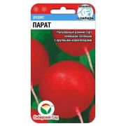 Редис Парат 2 гр (Сиб сад)