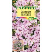 Пеларгония Кейтлин щитовидная 3 шт Н12 (Гавриш)