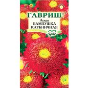Астра Пампушка клубничная помпонная 0,3 г Н12(Гавриш)