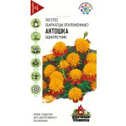 Бархатцы Антошка откл 0,3 гр Уд. с(Гавриш)
