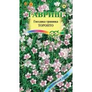 Гвоздика-травянка Торонто 0,05гр(Гавриш)