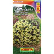 Петуния Джоконда Чёрно-Жёлтая смесь цв.п. 5 шт (АЭЛИТА)