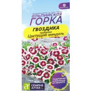 Гвоздика Цветущий миндаль Цв.п0,05 гр (Сем Алт)