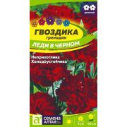 Гвоздика Леди в Черном Цв.п0,05 гр (Сем Алт)