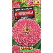 Цинния Крупноцветковая розовая изящная цв.п. 0,3 гр (АЭЛИТА)