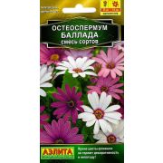 Остеоспермум Баллада смесь 10 шт цв.п (АЭЛИТА)