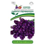 Маттиола Роуз Эль срезочная махровая 10 шт (Партнер)