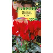 Цикламен Юля персидский 3 шт (Гавриш)