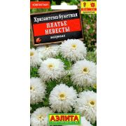 Хризантема Платье невесты цв.п. (АЭЛИТА)