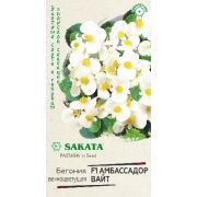 Бегония Амбассадор Вайт 4 шт (Гавриш) Р.