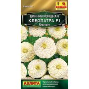 Цинния Клеопатра БЕЛАЯ изящная цв.п. 12 шт(АЭЛИТА)