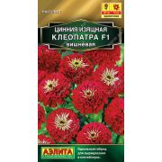 Цинния Клеопатра ВИШНЕВАЯ изящная цв.п. 12 шт(АЭЛИТА)