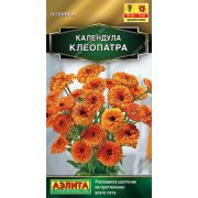 Календула Клеопатра цв.п. 0,3 гр (АЭЛИТА)