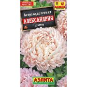 Астра Александрия шамоа цв.п.0,1 гр (АЭЛИТА)