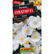 Бегония Сенатор Белая цв.п. 10 шт (АЭЛИТА)
