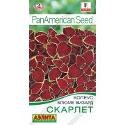 Колеус Блюме визард Скарлет 5 шт (АЭЛИТА)