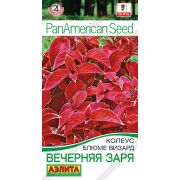 Колеус Блюме визард Вечерняя Заря 5 шт (АЭЛИТА)