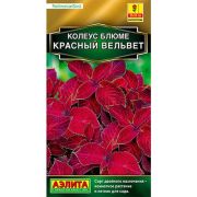 Колеус Блюме Визард Красный Вельвет 5 шт (АЭЛИТА)