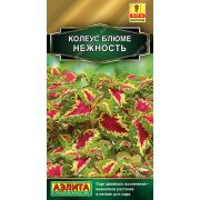 Колеус Блюме Нежность 5 шт (АЭЛИТА)