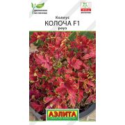 Колеус Колоча F1 роуз 5 шт (АЭЛИТА)