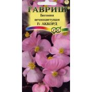 Бегония Аккорд F1 вечноцв. гран. 4 шт пробирка (Гавриш)